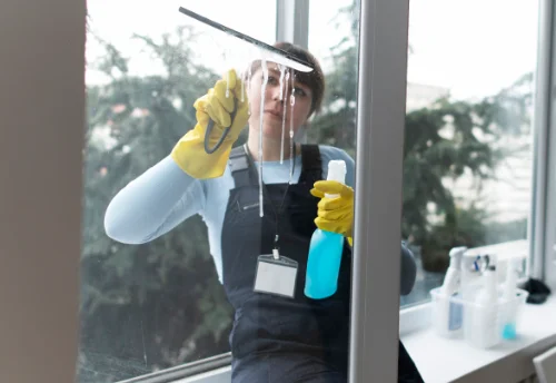 Nettoyage de vitres intérieures et extérieures à Sermérieu